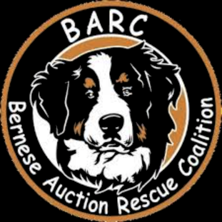 Bernese Auction Rescue Coalition
