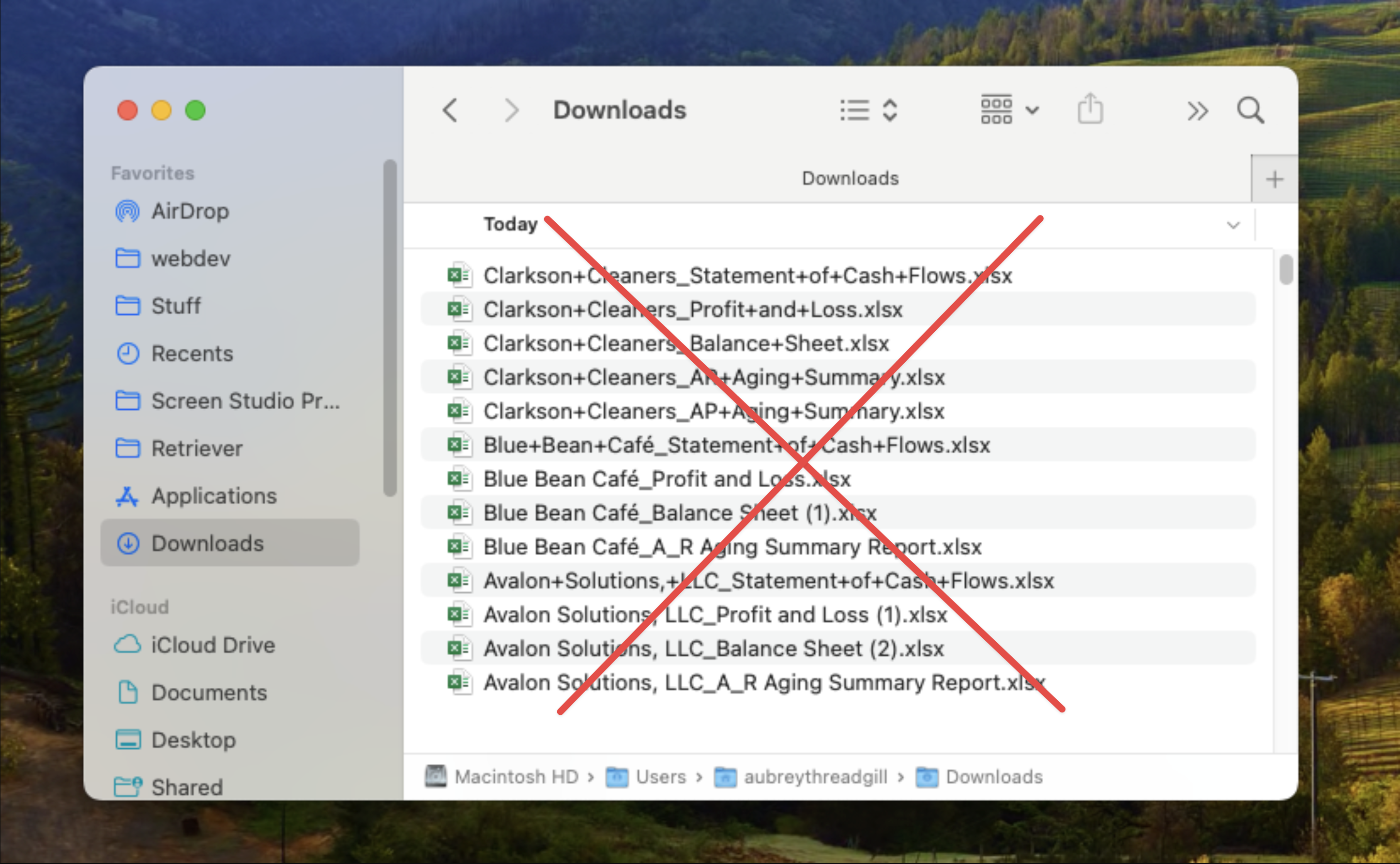 Messy computer Downloads folder full of exported report files